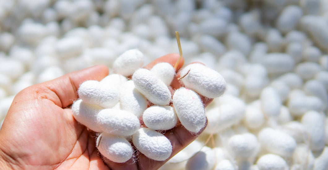 Historic myth who invented silk? Adora Silk